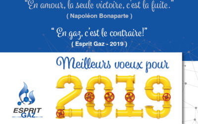 Esprit Gaz vous souhaite ses meilleurs vœux de bonheur et de réussite pour 2019